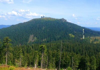 Bayerischer Wald