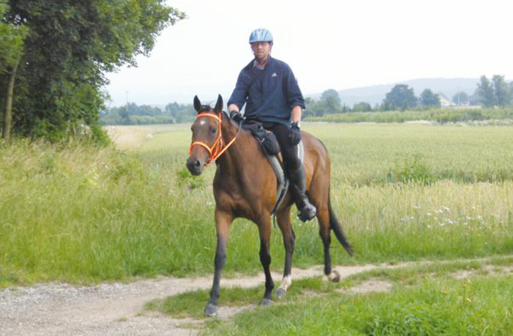 Durchs Land der Franken