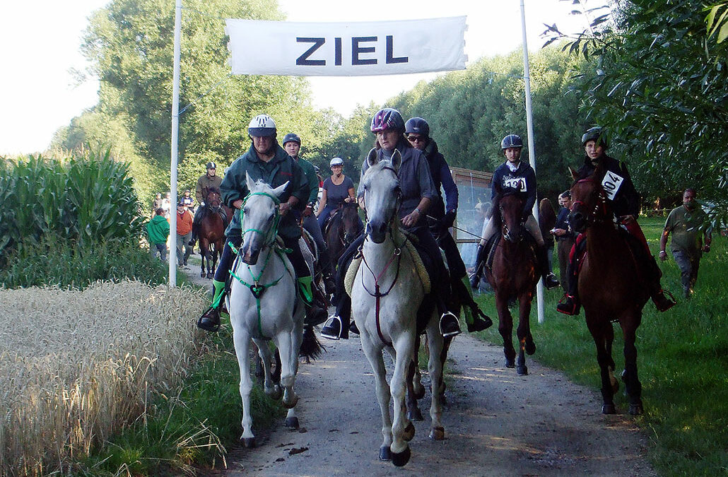 3. Mainschleifendistanz