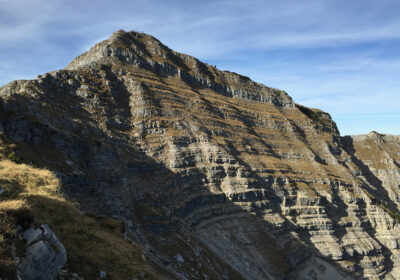 Schafreuther