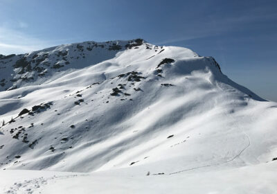 Brechhorn