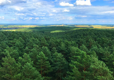 Heidehöhe