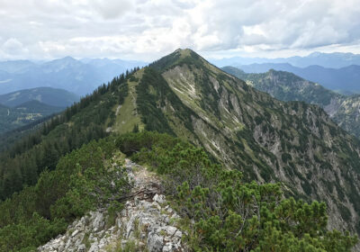 Blaubergkopf