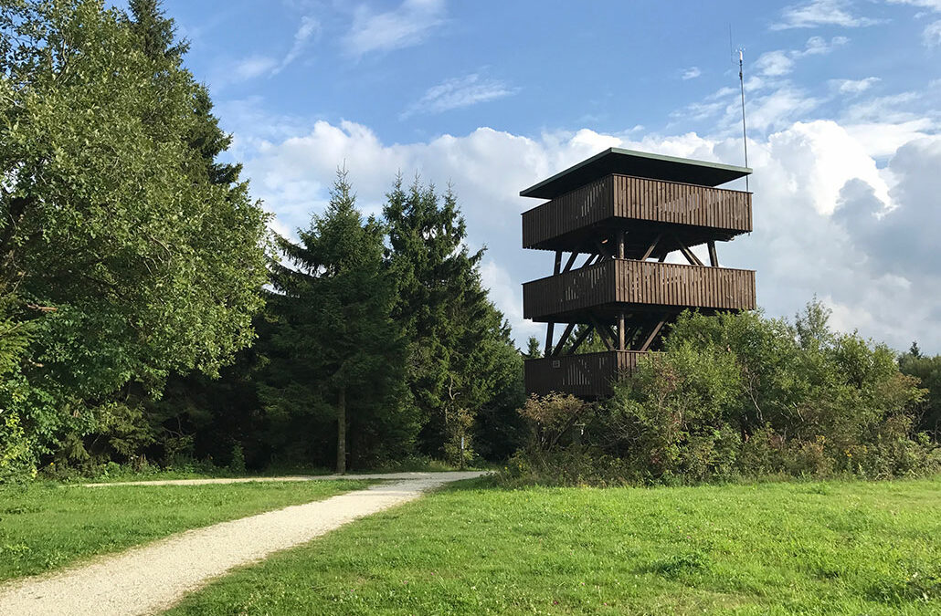 Erbeskopf