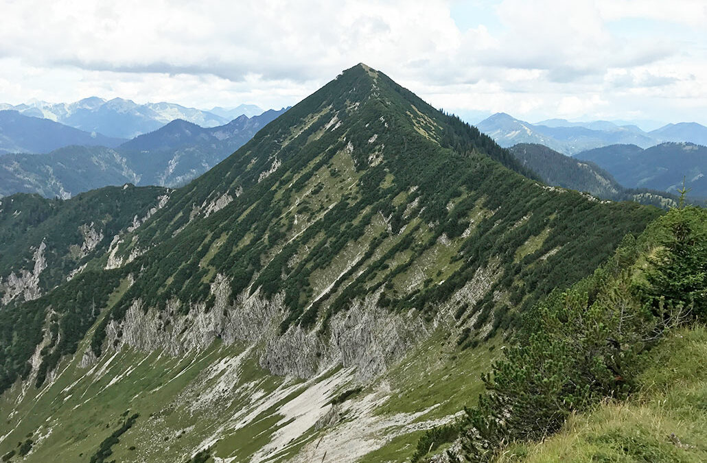 Halserspitz
