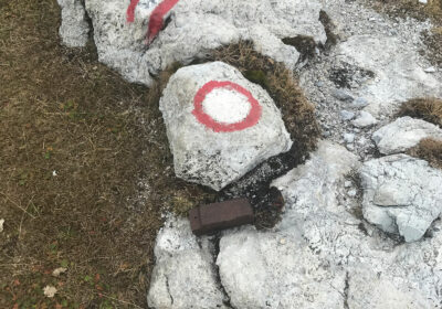 Grünleitennock