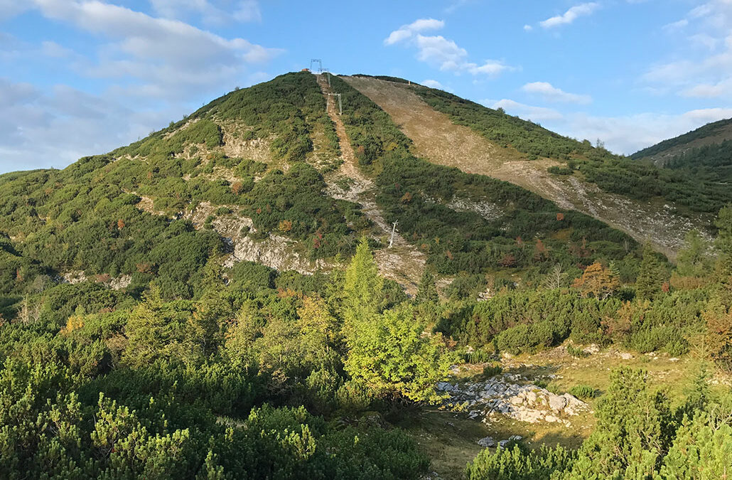 Steinkogel