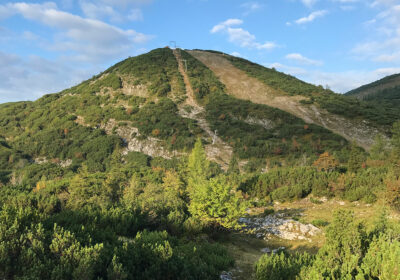 Steinkogel
