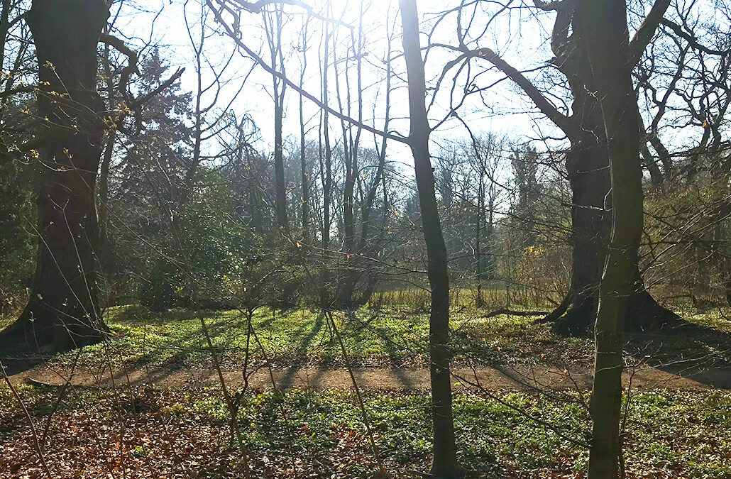 Friedehorstpark