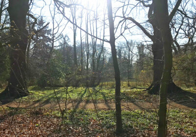 Friedehorstpark