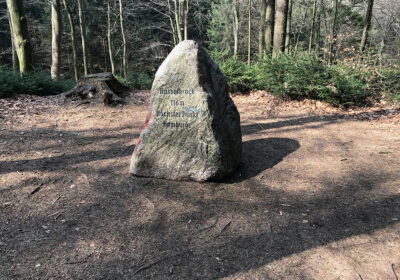 Hasselbrack