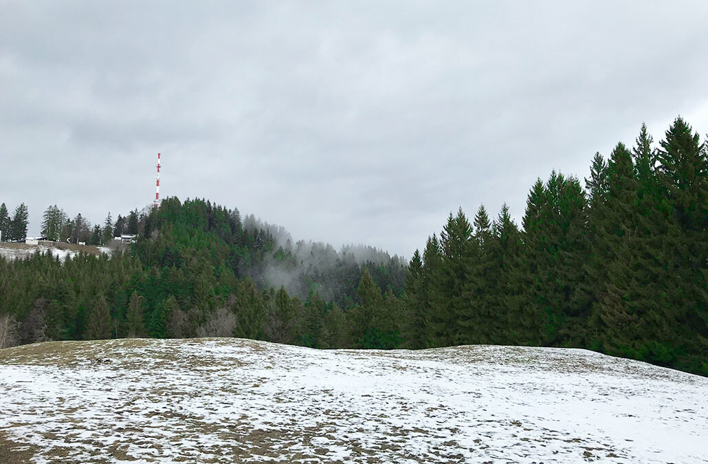 Pfänderspitze