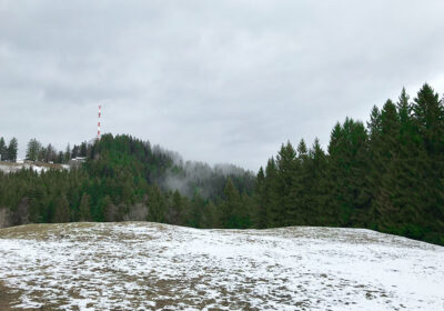 Pfänderspitze