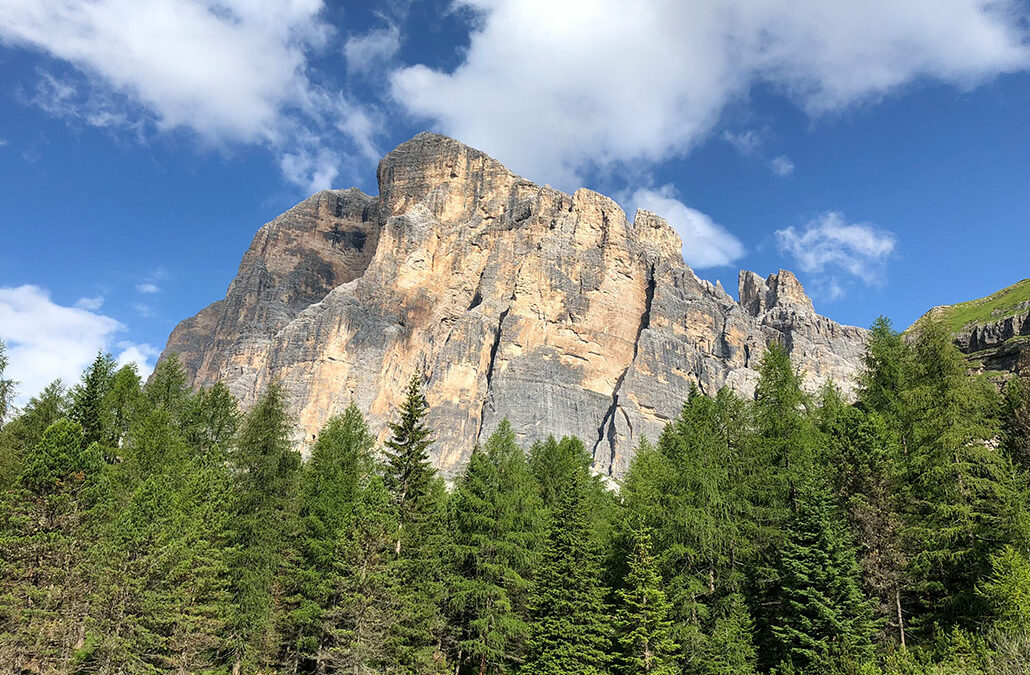 Tofana di Rozes