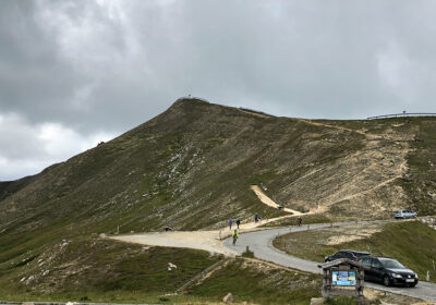 Edelweiß-Spitze