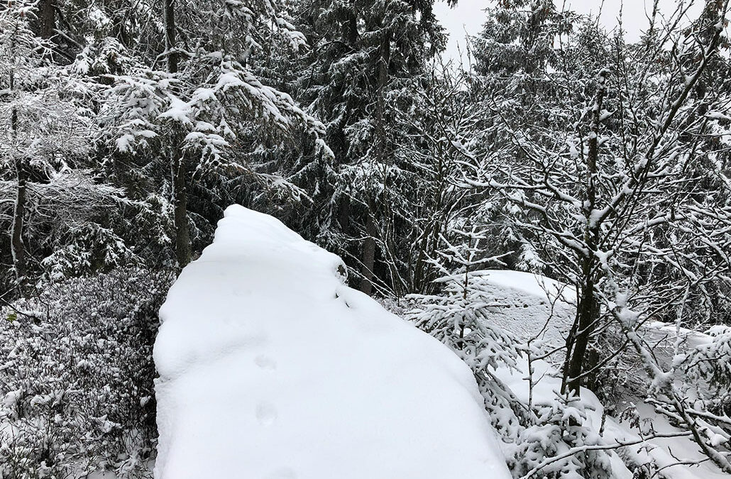 Burgstein