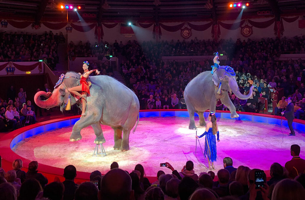 100 Jahre Cirkus Krone