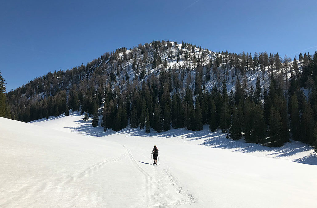 Lärchkogel