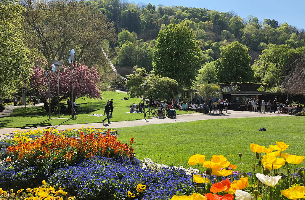 Freiburger Schlossberg