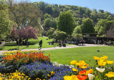 Freiburger Schlossberg