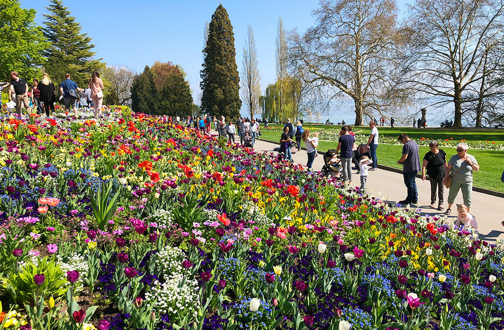 Blumeninsel Mainau