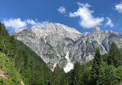 Birnhorn