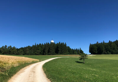 Hagen