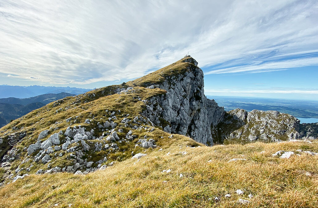 Krähe
