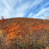 Mount Frissell Mount Frissell (Connecticut)