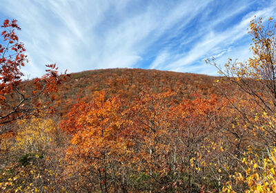 Mount Frissell