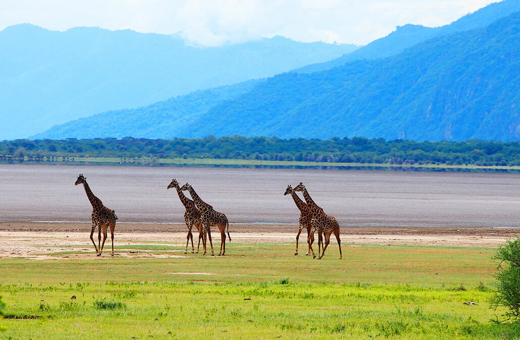 Lake Manyara National Park