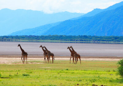 Lake Manyara National Park