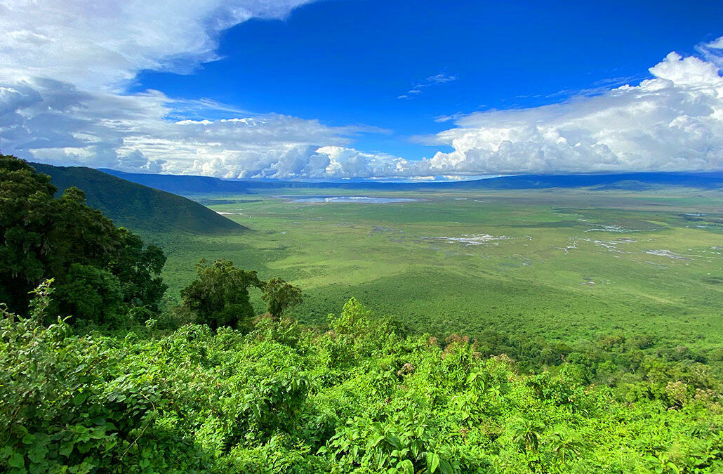Ngorongoro Crater