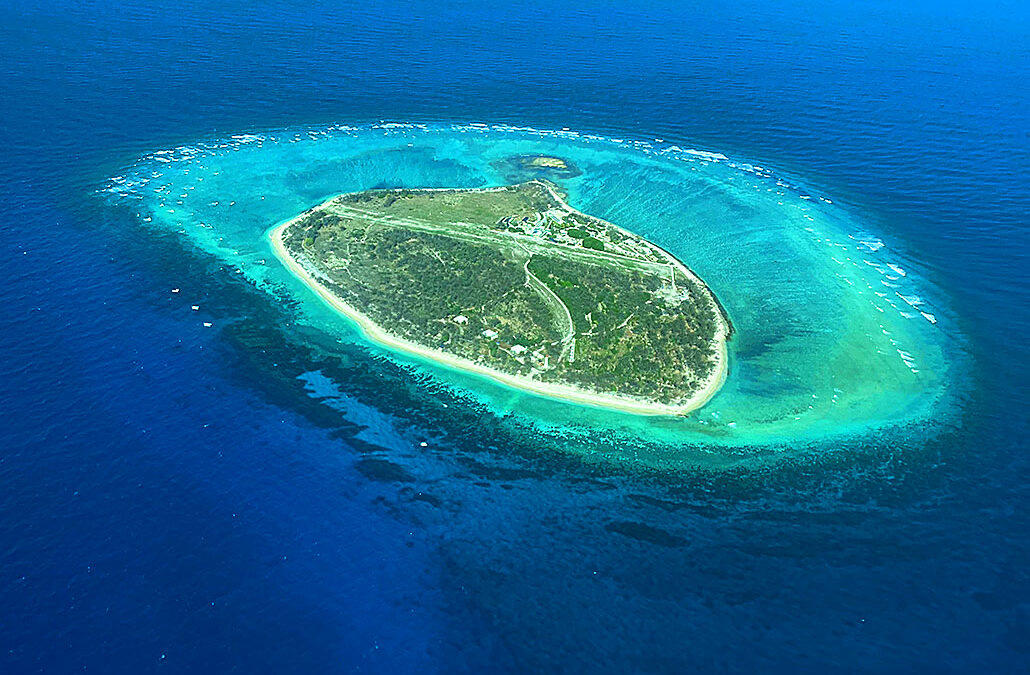 Snorkelling with turtles: Lady Elliot Island