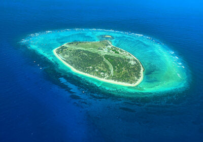 Snorkelling with turtles: Lady Elliot Island