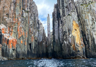 Tasmanien