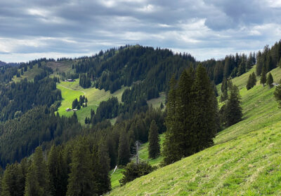 Großer Ochsenkopf