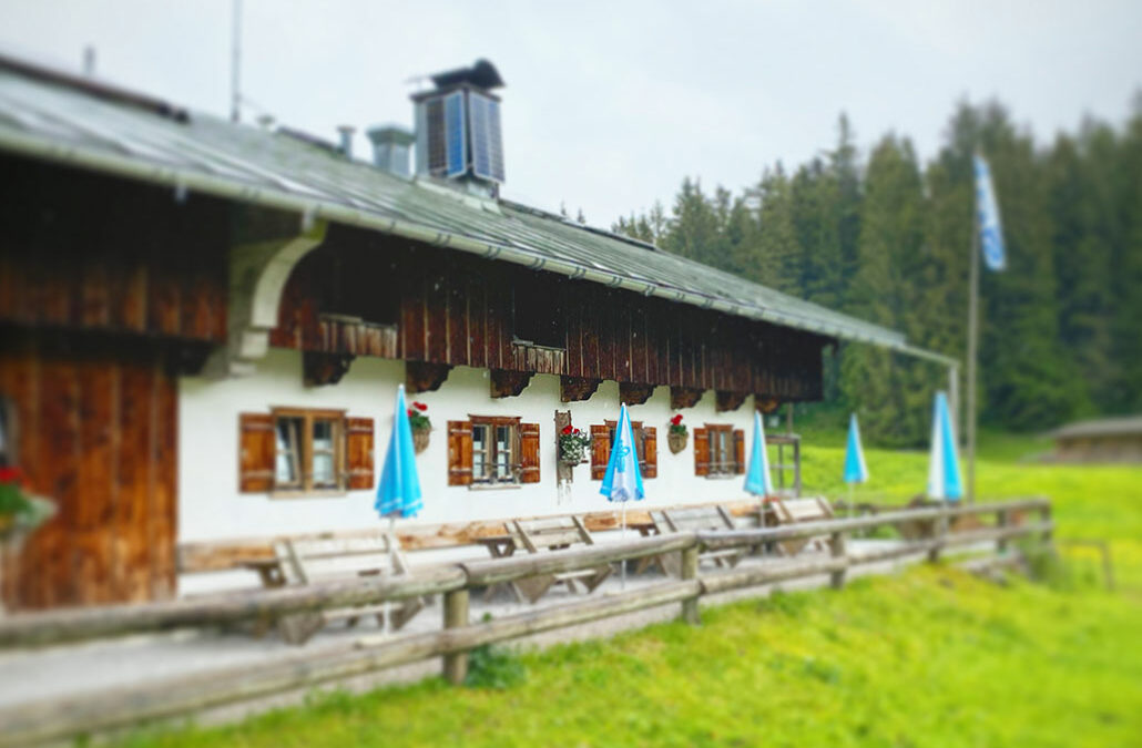 Schwarze Tenn
