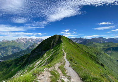 Fellhorn Fellhorn (Deutschland)