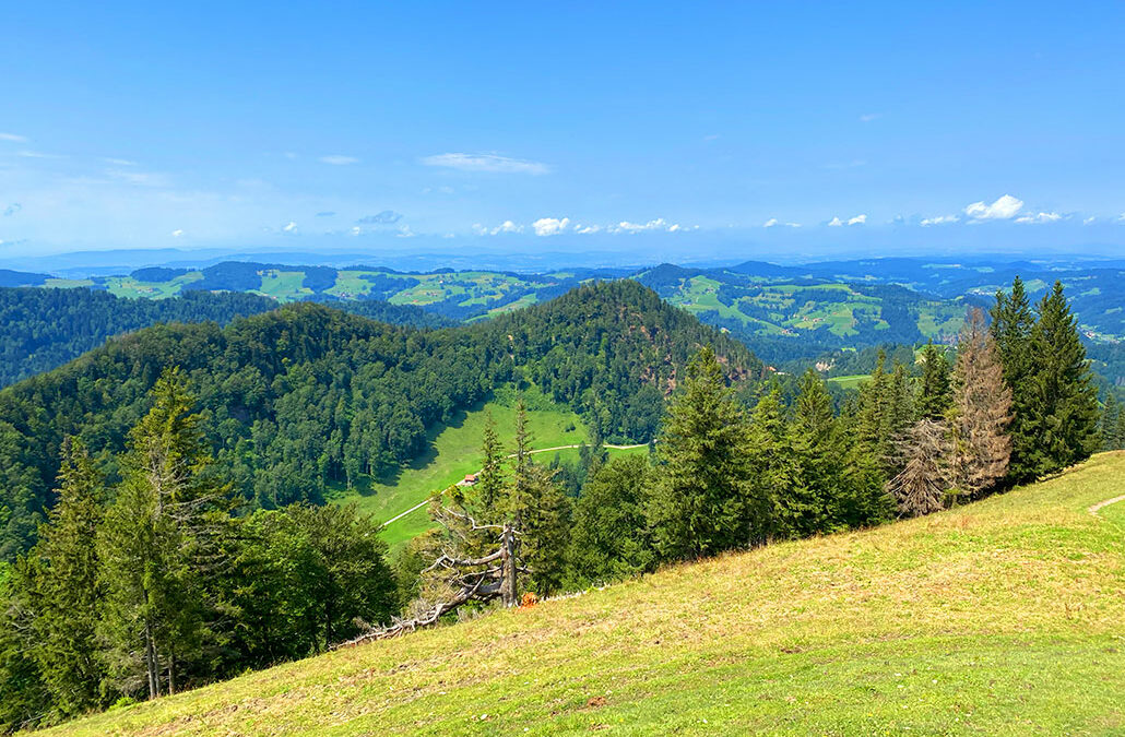 Schnebelhorn