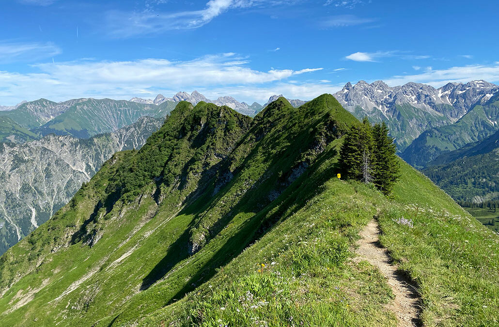 Söllerkopf