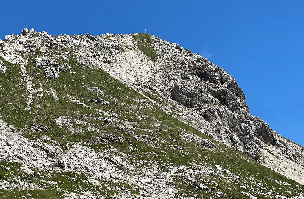 Westlicher Wengenkopf