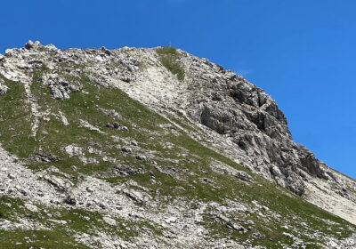 Westlicher Wengenkopf