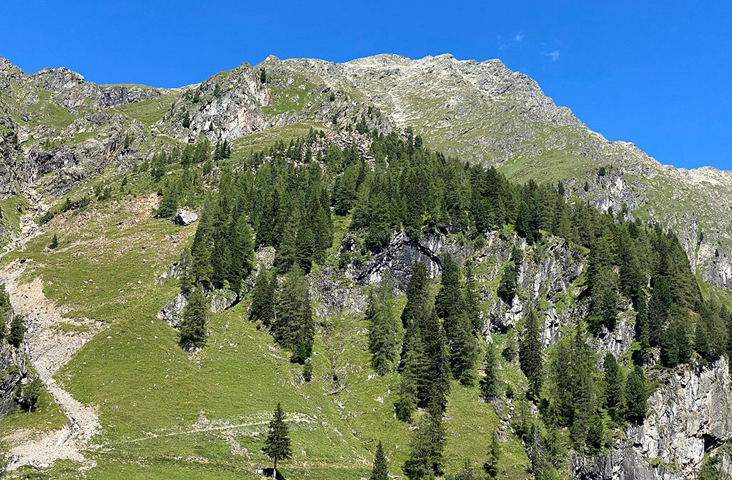 Weiße Spitze