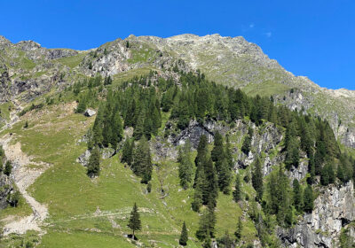 Weiße Spitze