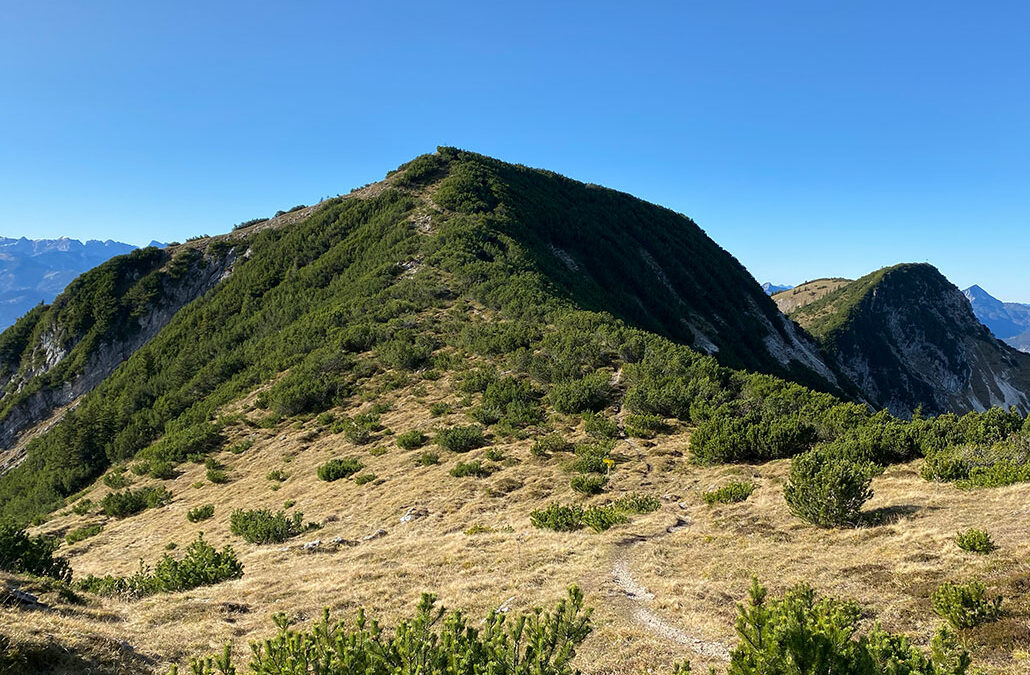 Frechjoch