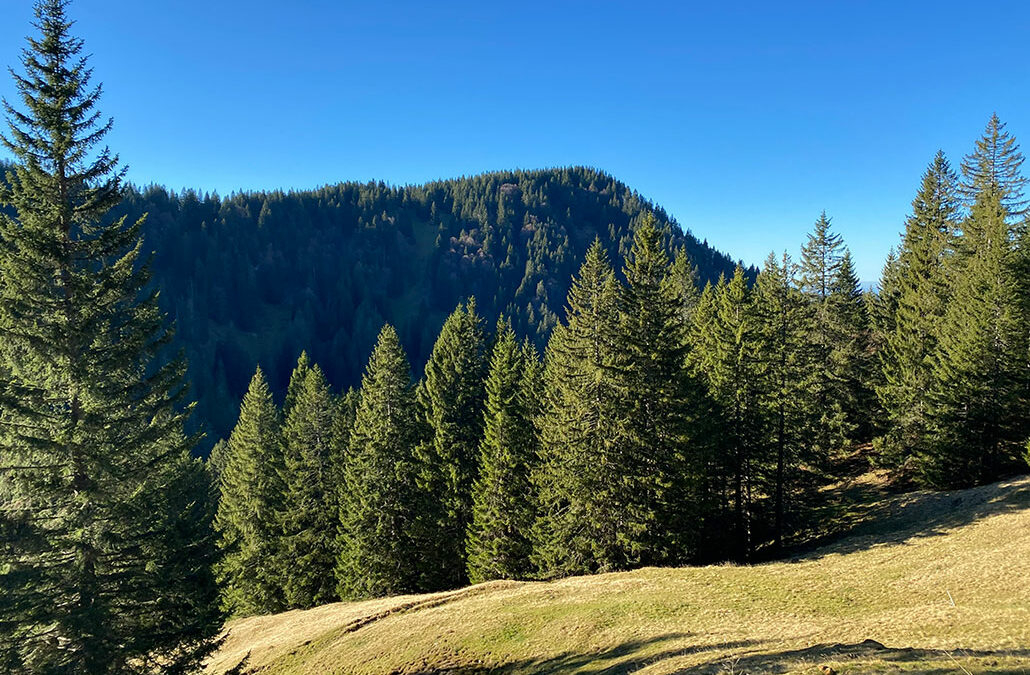 Gschwender Horn