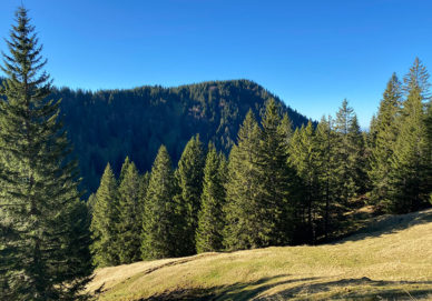 Gschwender Horn Gschwender Horn (Deutschland)