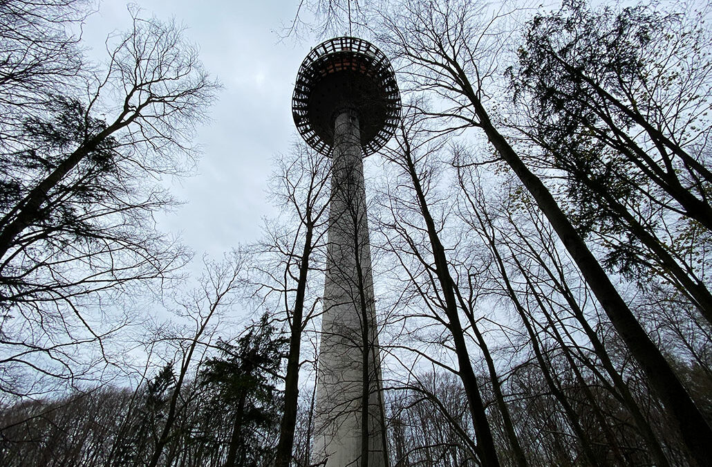 Hohe Reut