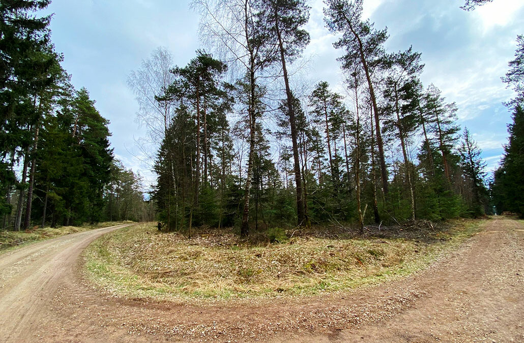 Preunersfelder Rangen